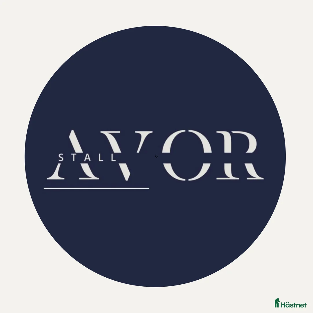  stallplats finnes: Lösdrift med fullservice för unghingstar i Norrköping - Annons 1