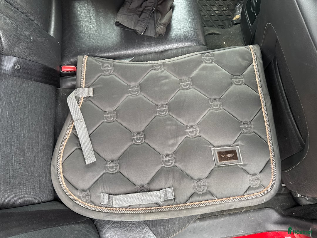 Schabrak & Vojlockar hästutrustning till salu: Fint Equestrian Stockholm Schabrak 💫 i Nora - Annons 1