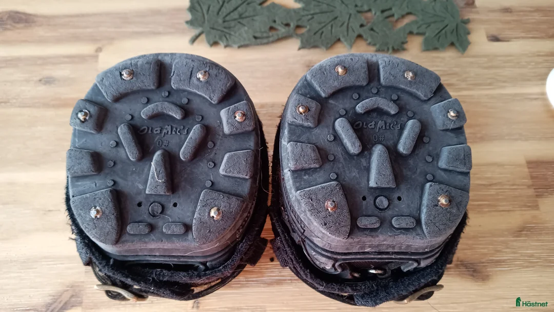 Övrig utrustning övrig utrustning till salu: Old Mac's esasyboot G2 version  - Annons 2