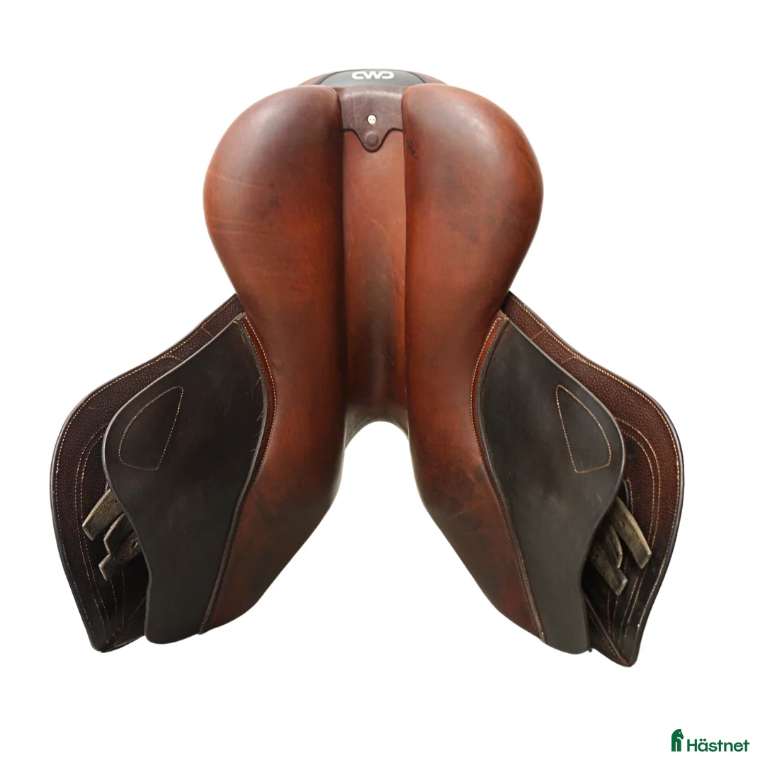 Sadlar hästutrustning till salu: CWD 2Gs Mademoiselle 17,5" - Annons 7