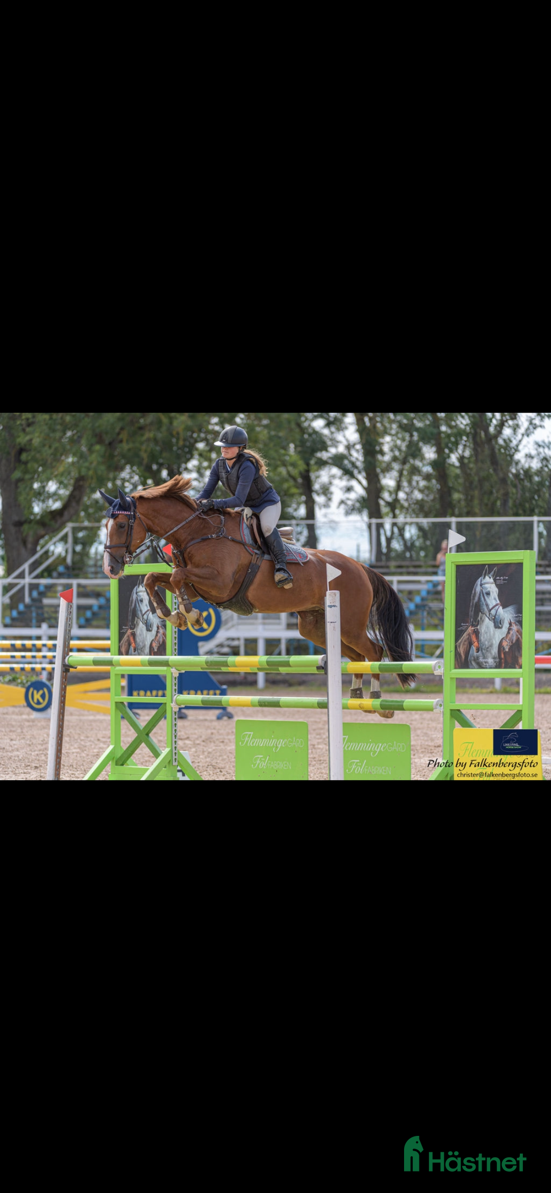 Hoppning hästar till salu: Fin hopp häst till salu!  i Linköping - Annons 1