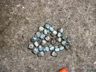 Övrig Hästutrustning hästutrustning Broddar och annat i Växjö - Annons 2