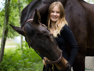 medryttarhäst sökes: Söker stallsysslor/medryttarhjälp i Umeå - Annons 12