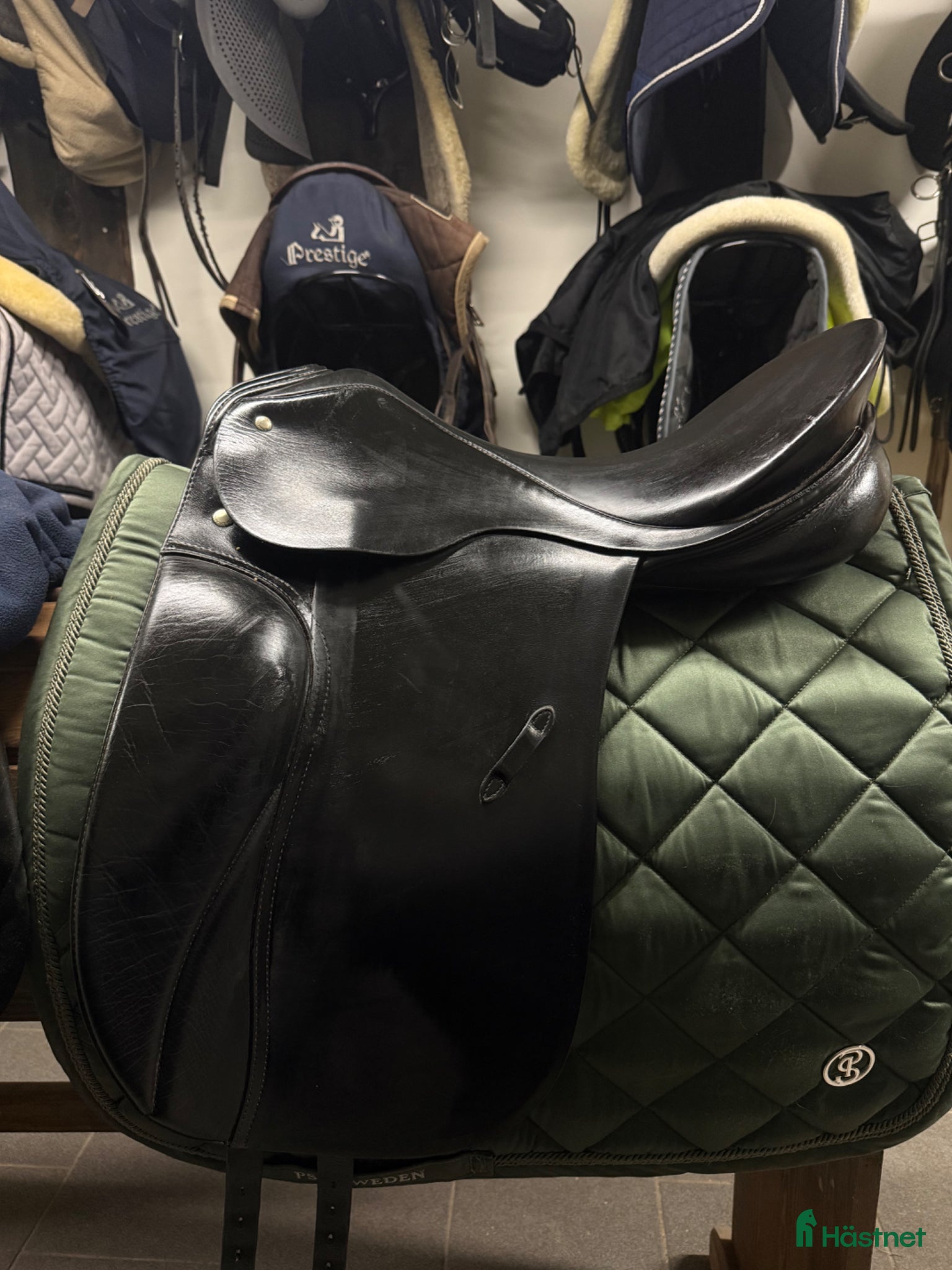 Sadlar hästutrustning Passier optimum dressyrsadel - Annons 1