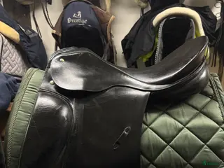 Sadlar hästutrustning Passier optimum dressyrsadel - Annons 1