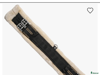 Sadeltillbehör hästutrustning till salu: Oanvänd sadelgjord teddy från Hööks i Gävle - Annons 2