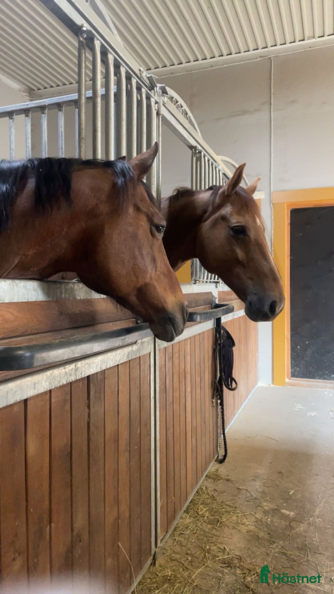  stallplats Stallplats privatstall Kolsva - Annons 16