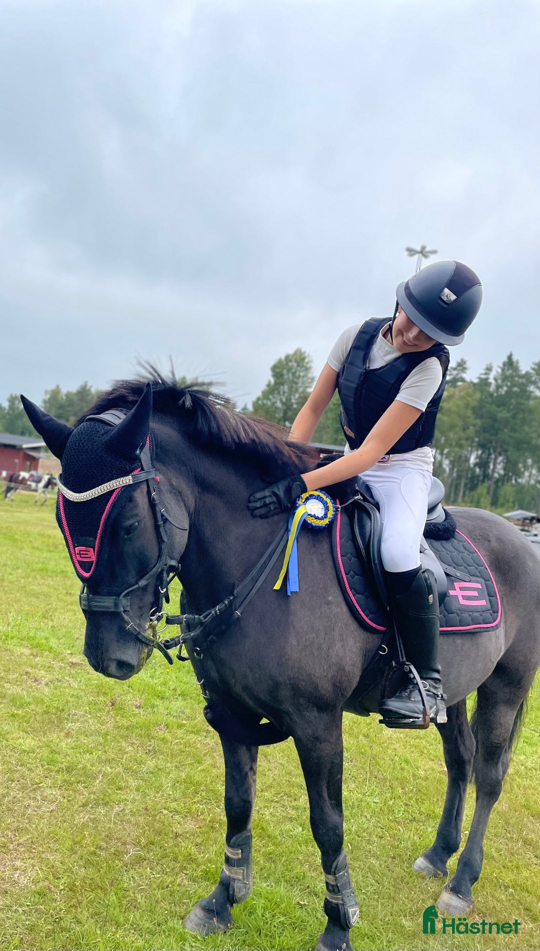 Allround hästar sökes: FÖRMEDLING & TILLRIDNING i Kristdala - Annons 1