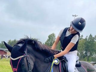 Allround hästar sökes: FÖRMEDLING & TILLRIDNING i Kristdala - Annons 1