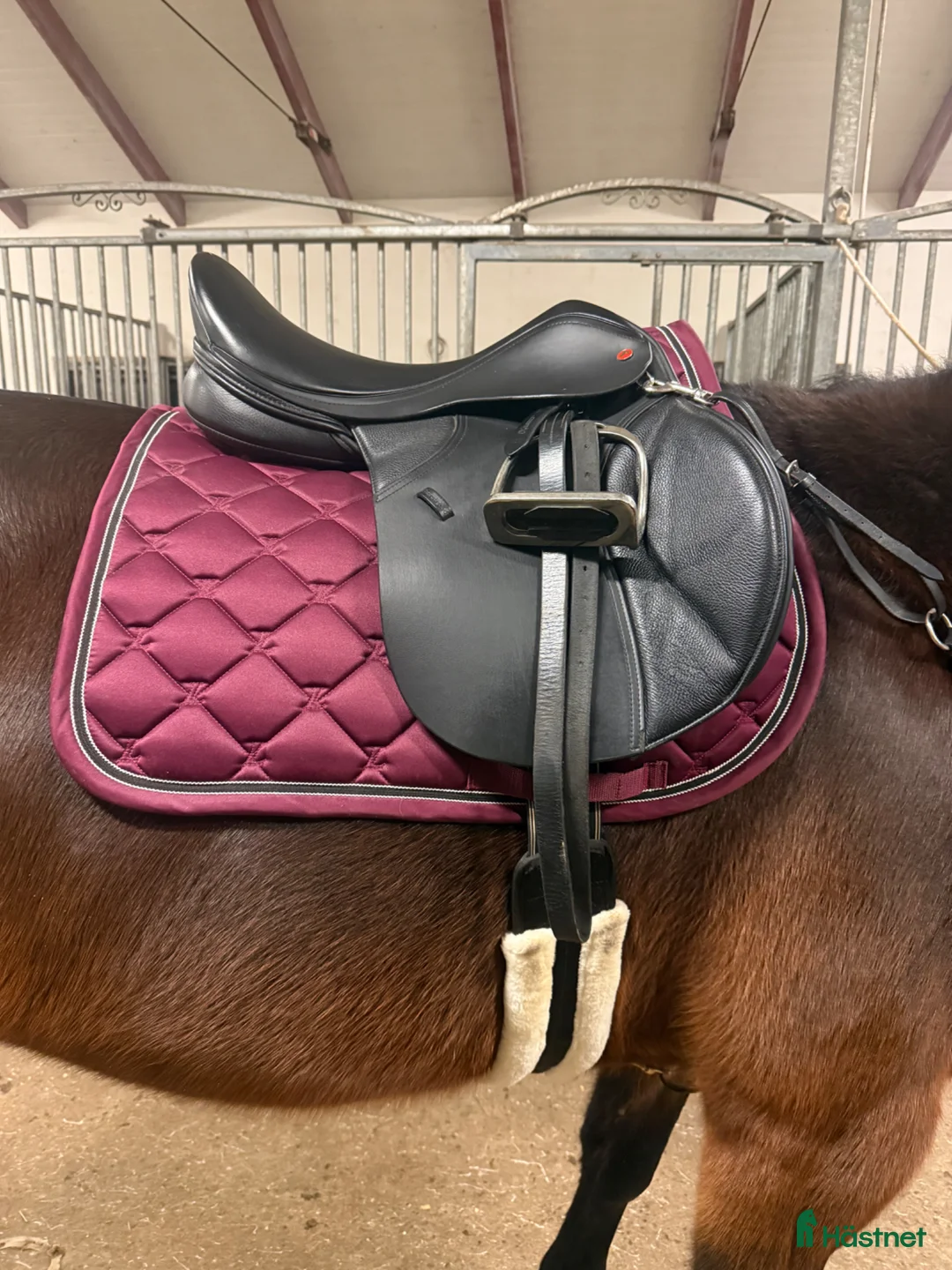 Sadlar hästutrustning till salu: Thorowgood t8  - Annons 1