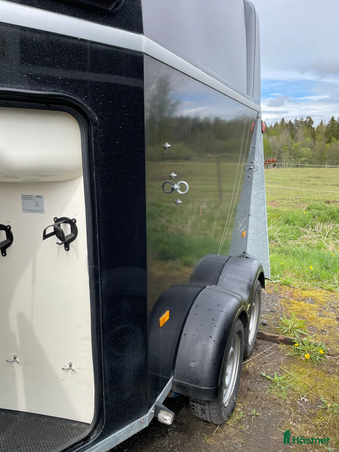 Hästtransporter  fordon & transport till salu: Humbaur Zephir Aero - Annons 10