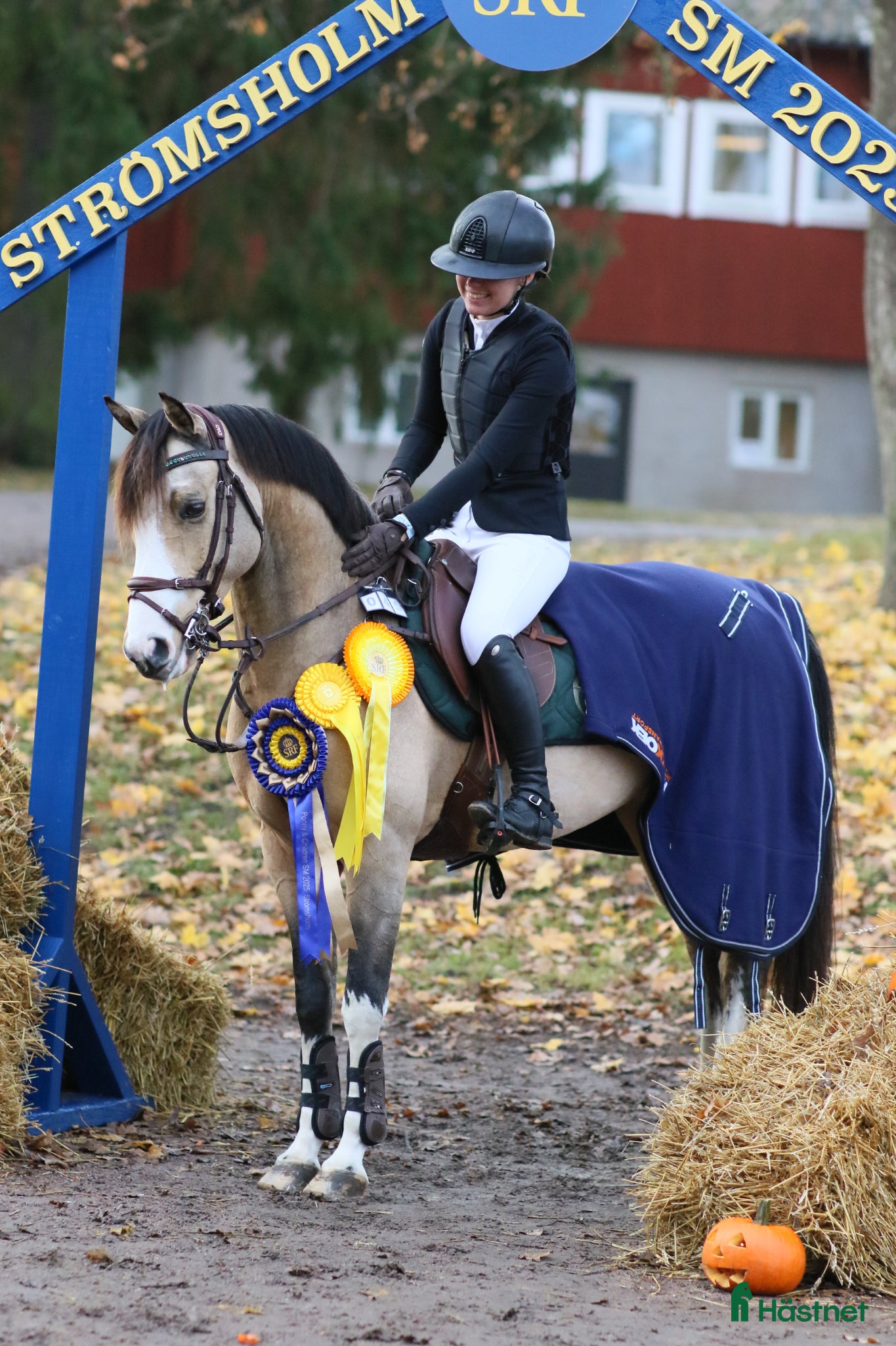  hästar Mästerskapsponny med internationell kapacitet - Annons 7