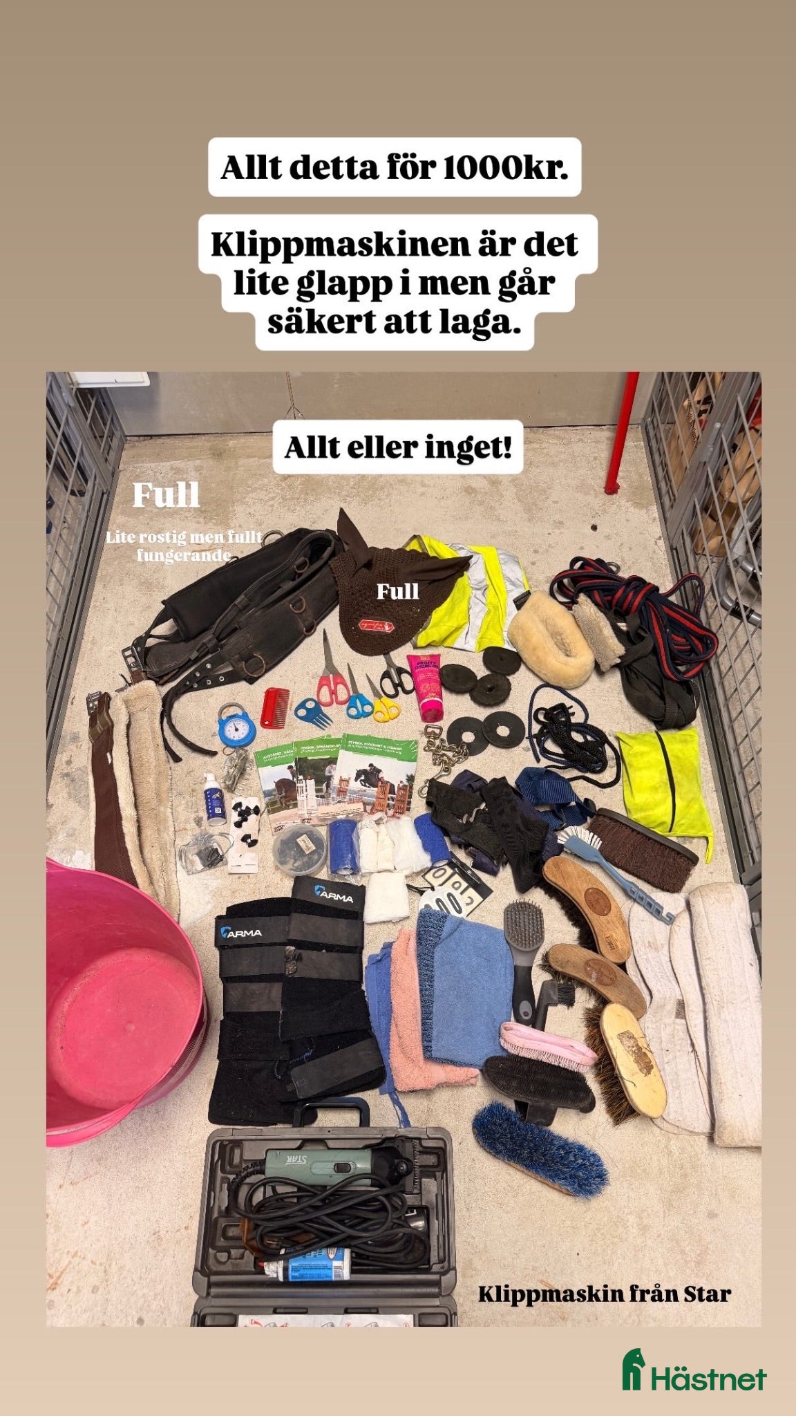 Övrig Hästutrustning hästutrustning Hästpaket till ett pris! - Annons 11