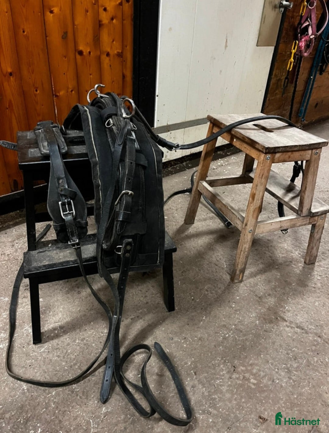 Övrig Hästutrustning hästutrustning till salu: Mycket fin remsele från Tärnsjö i Matfors - Annons 2