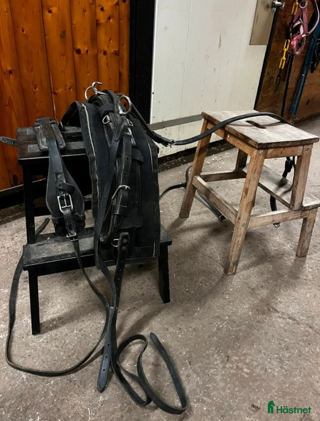 Övrig Hästutrustning hästutrustning till salu: Mycket fin remsele från Tärnsjö i Matfors - Annons 2