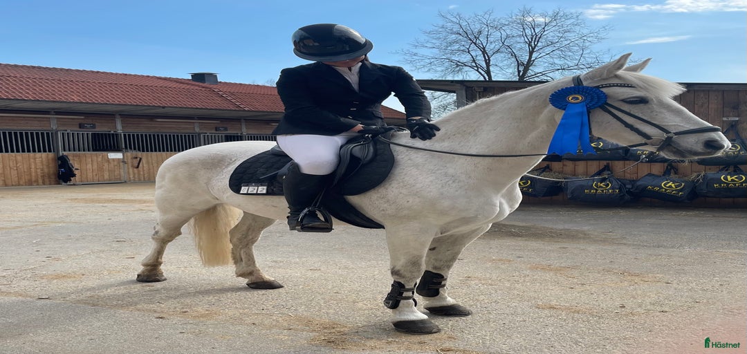 Galleribild {{count}}