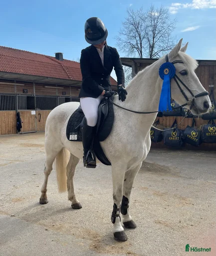 Galleribild {{count}}