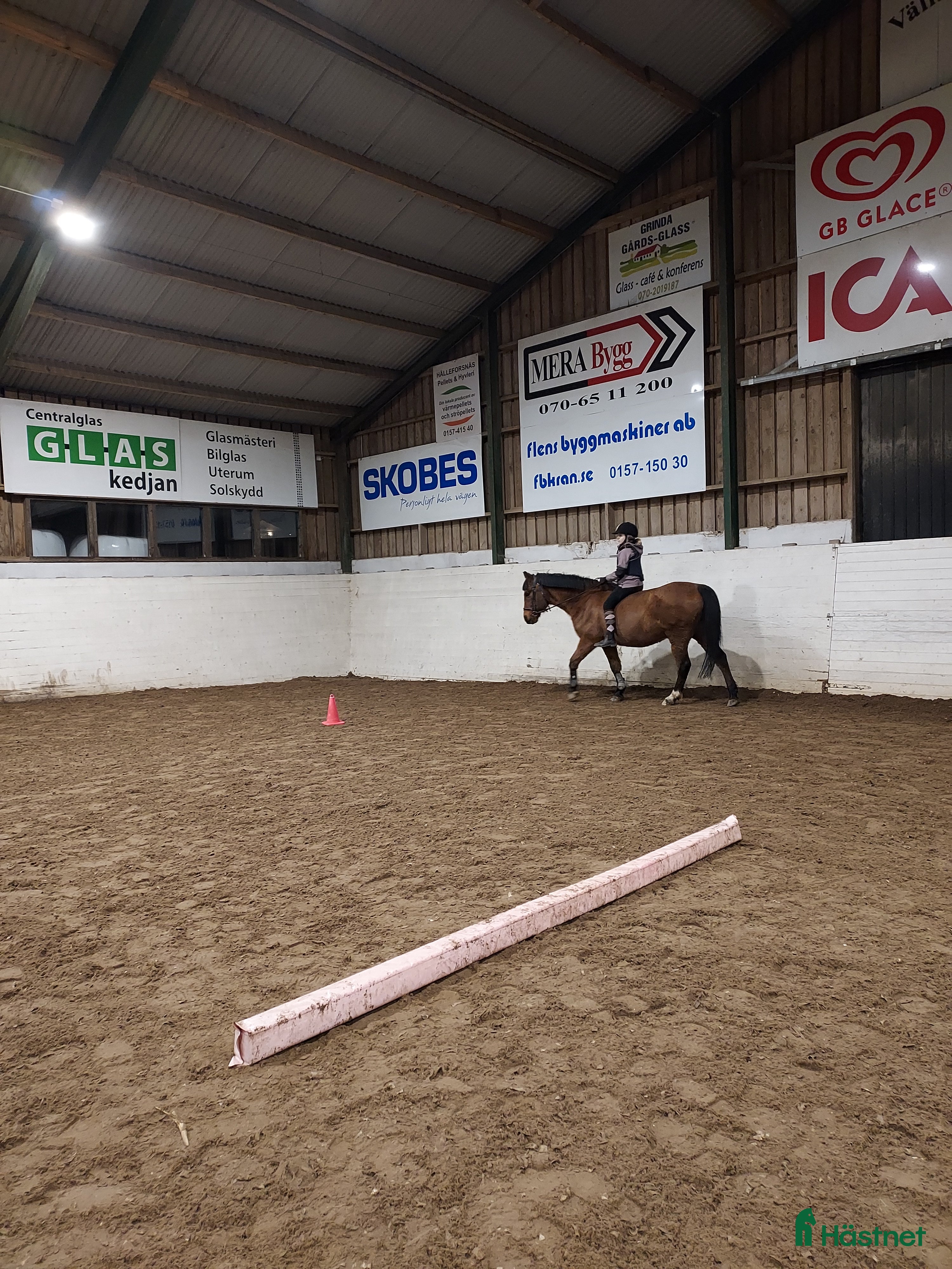  hästar Söker ponny  i Tierp - Annons 2