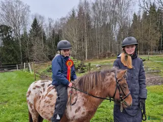 hästar Sällskap, ponnyridning, körning!? i Karlstad - Annons 13