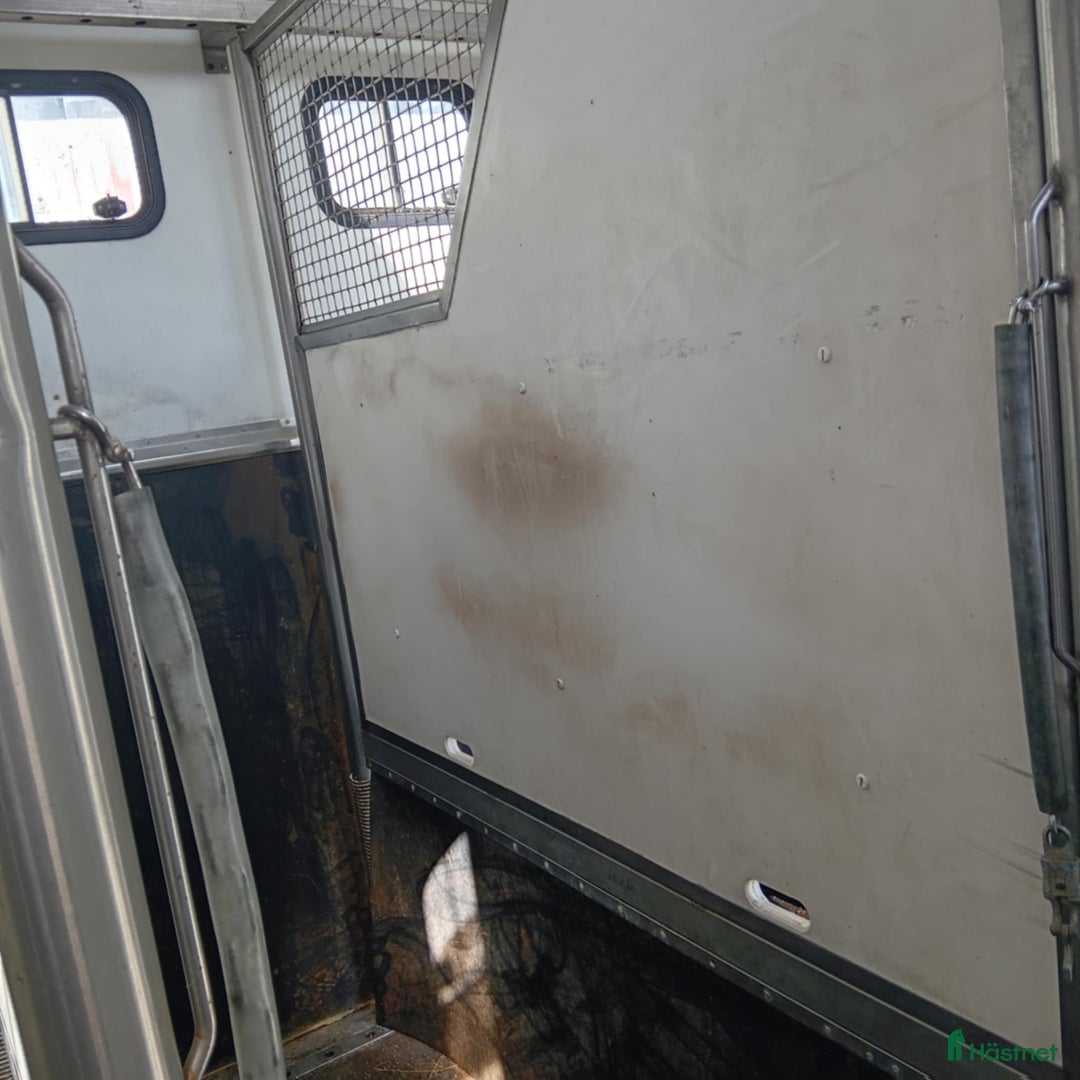 Hästlastbilar  fordon & transport till salu: Scania med flexibel inredning  i Teckomatorp - Annons 10