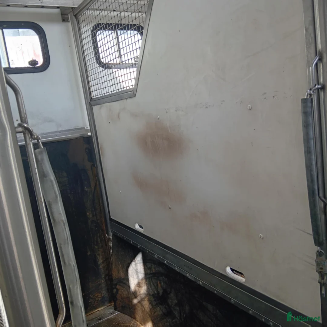 Hästlastbilar  fordon & transport till salu: Scania med flexibel inredning  i Teckomatorp - Annons 10