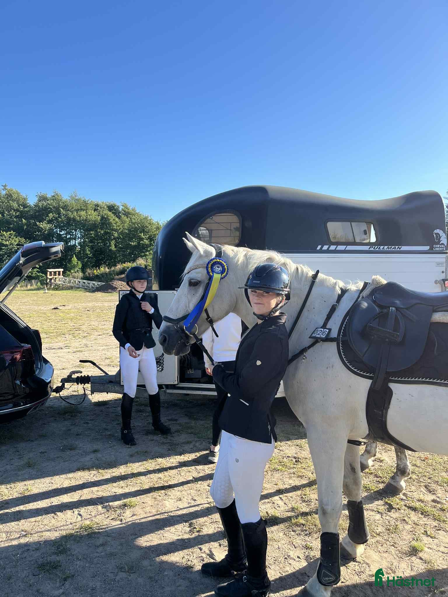  hästar Rutinerad tävlingsponny - Annons 1