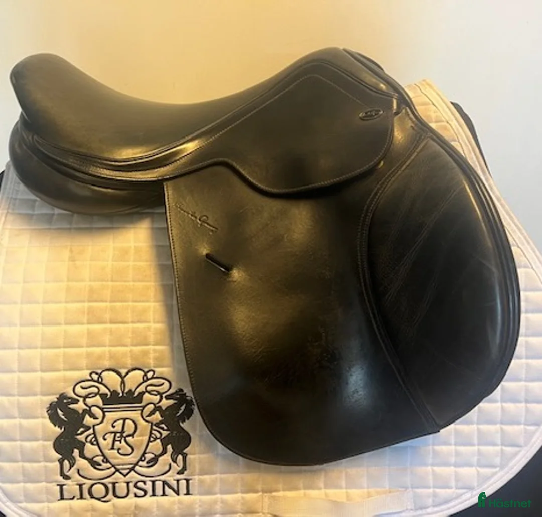 Sadlar hästutrustning till salu: Hoppsadel Santa Cruz Celine 16,5" - Annons 1