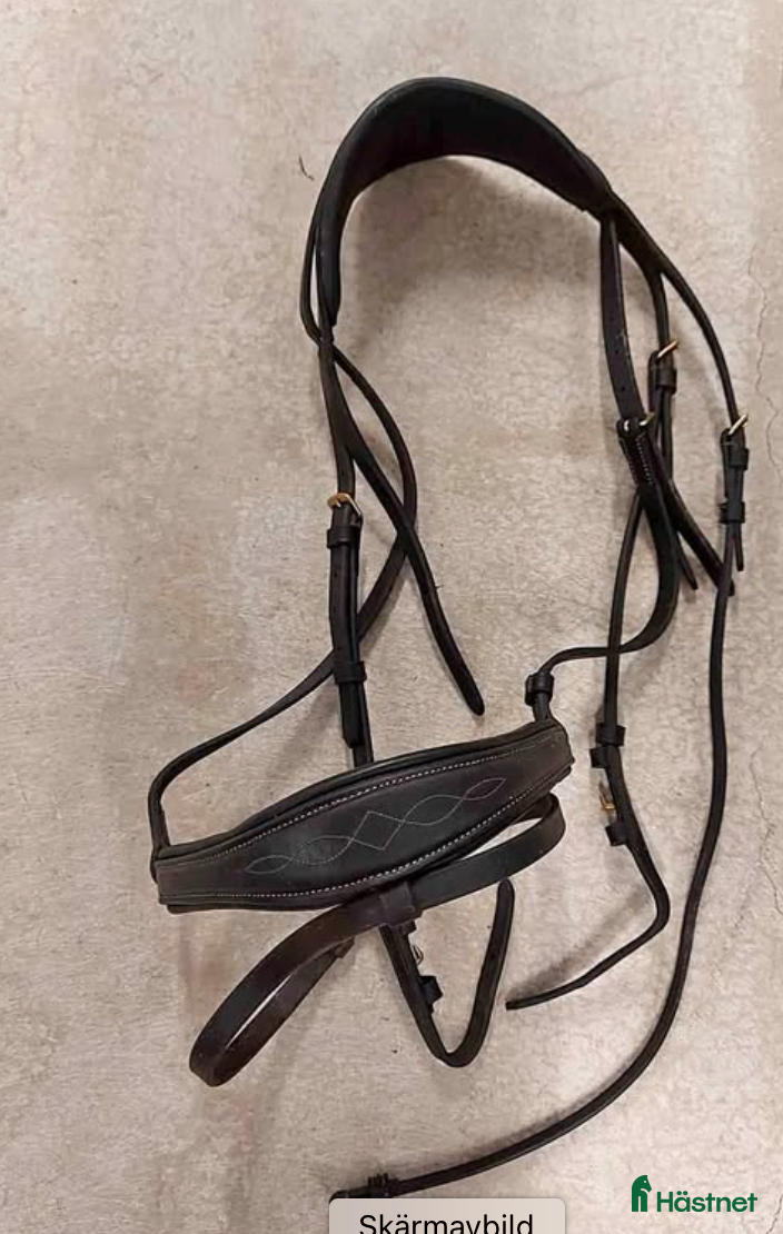 Träns hästutrustning Svart träns Rittfors i Motala - Annons 8