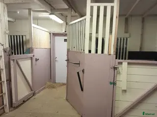 stallplats Lediga boxar i Torslanda - Annons 3