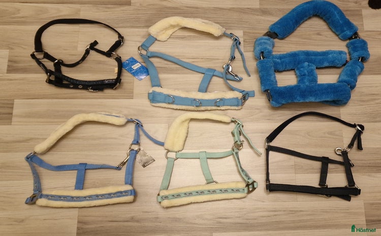 Övrig Hästutrustning hästutrustning till salu i Sundbyberg - Annons 15