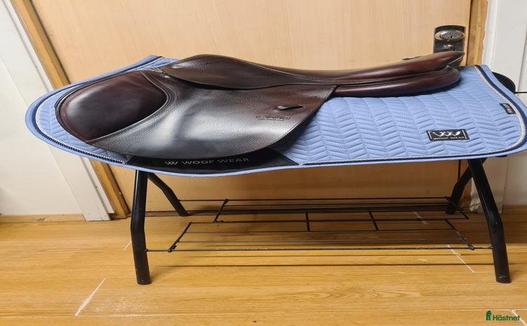 Sadlar hästutrustning till salu: CWD hopp i Hamneda - Annons 1