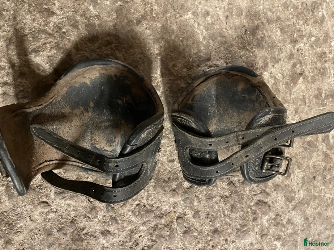 Benskydd hästutrustning till salu: Benskydd - Annons 5
