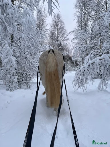 Galleribild {{count}}