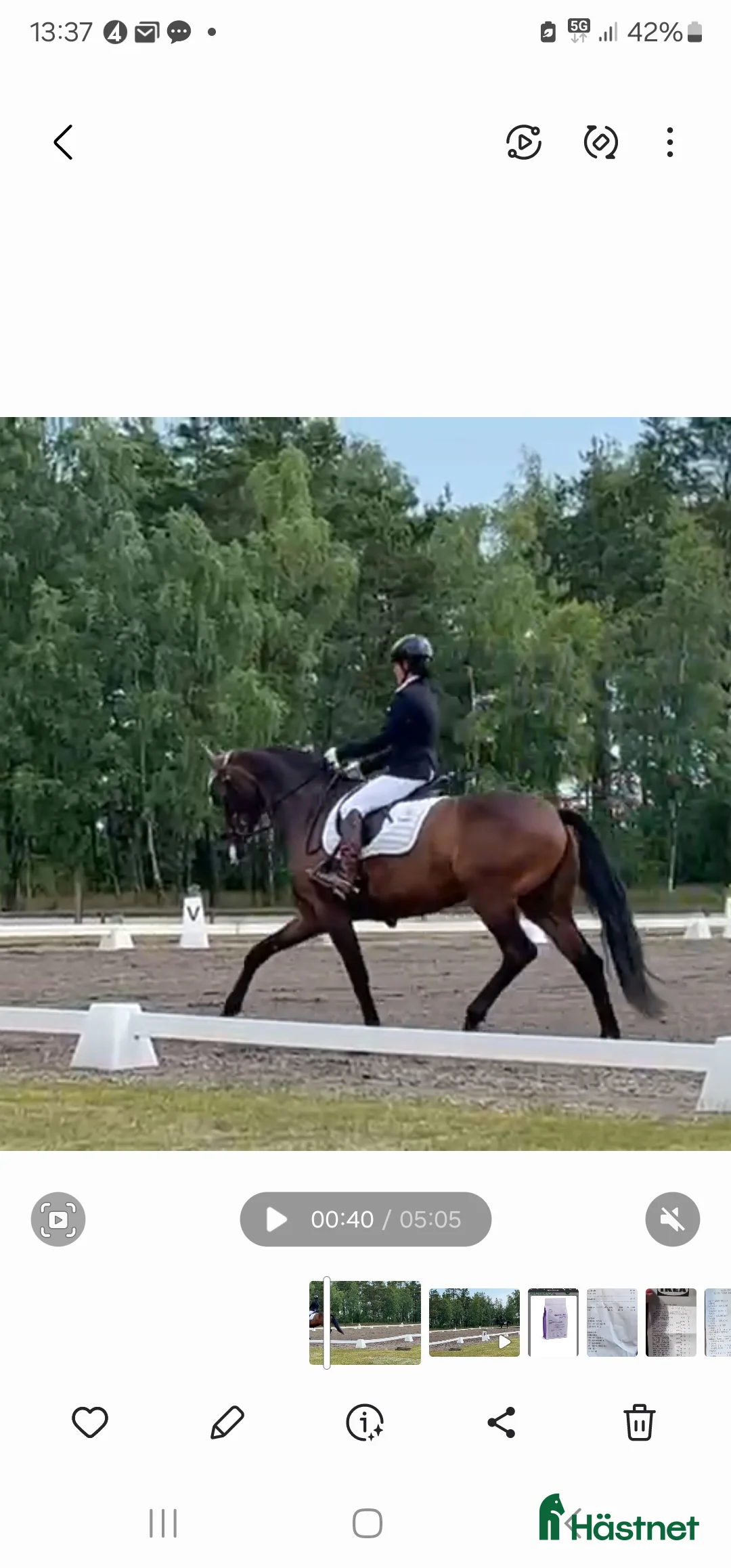  hästservice finnes: Hästservice finnes. i Varberg - Annons 3