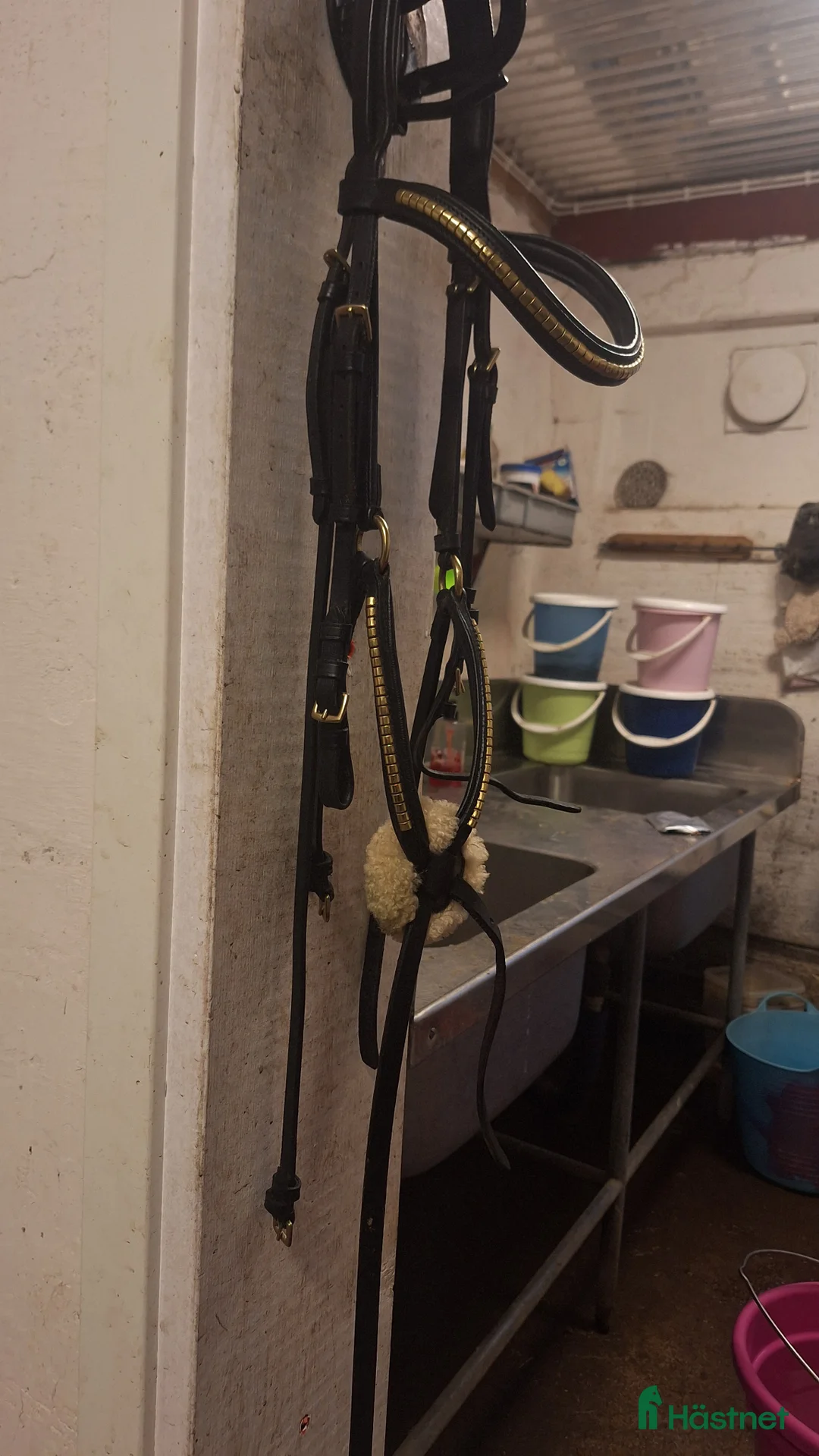 Träns hästutrustning till salu: Fint träns till salu!✨️ i Nora - Annons 2