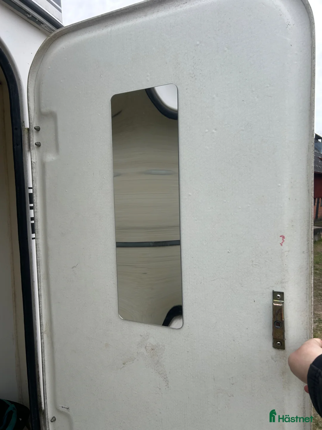 Hästtransporter  fordon & transport till salu: Boj hästtransport SEH - Annons 7