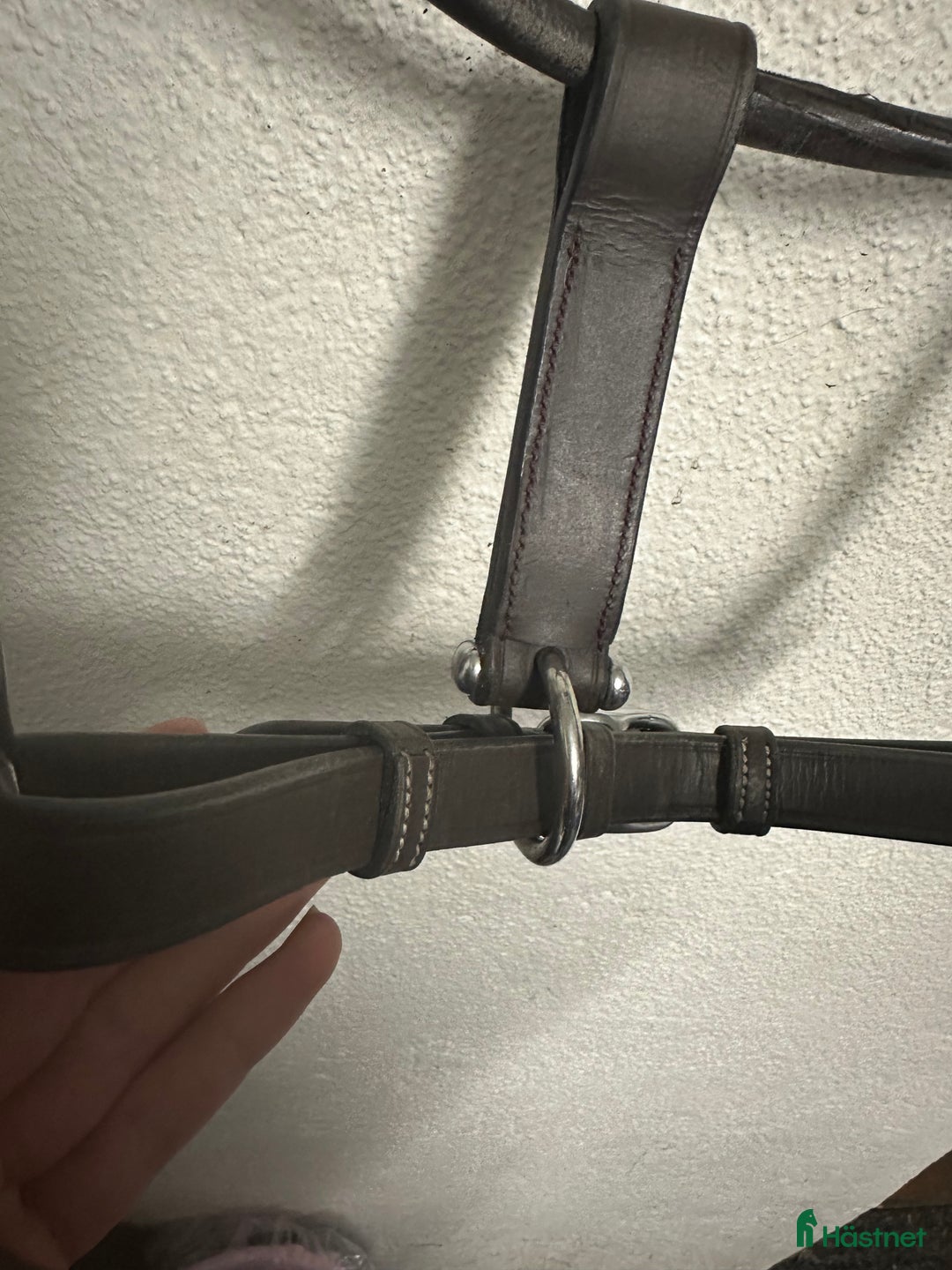 Övrig Hästutrustning hästutrustning till salu: Brun lädergrimma Dyon COB i Kinna - Annons 4