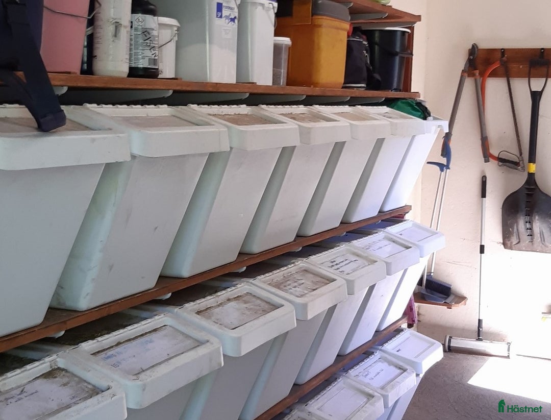  stallplats finnes: Lång utevistelse och ridhus i Sollentuna i Sollentuna - Annons 12