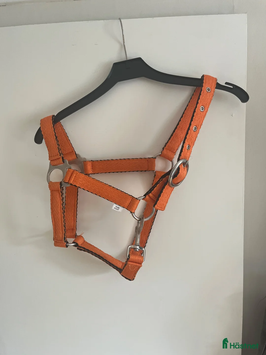 Övrig Hästutrustning hästutrustning till salu: Orange grimma strl ponny - Annons 5