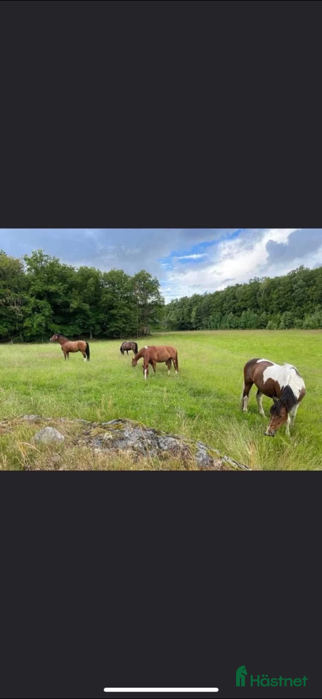  stallplats finnes: Stallplats finnes i Billdal från 1/9 i Billdal - Annons 2