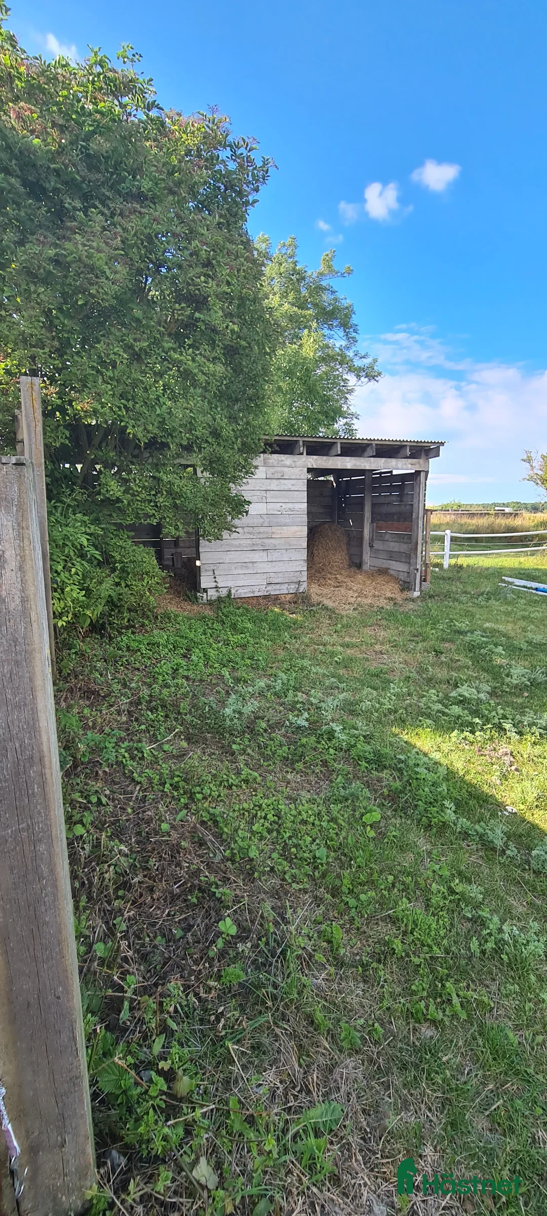  stallplats finnes: Stallplats/lösdrift i Västerhejde, Gotland - Annons 7