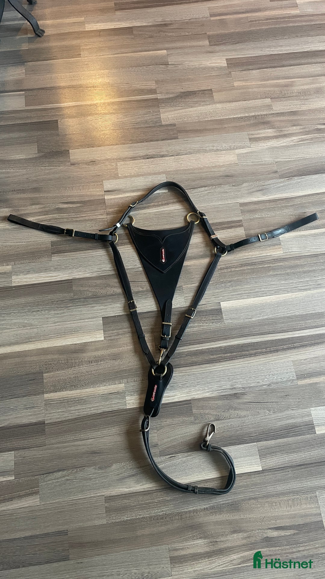 Sadeltillbehör hästutrustning till salu: Equipe martingall/förbygel  i Huddinge - Annons 1