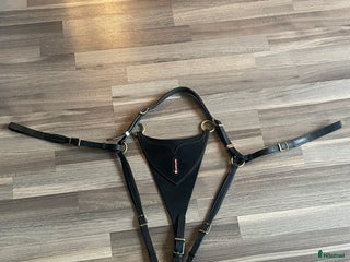 Sadeltillbehör hästutrustning till salu: Equipe martingall/förbygel i Huddinge - Annons 1