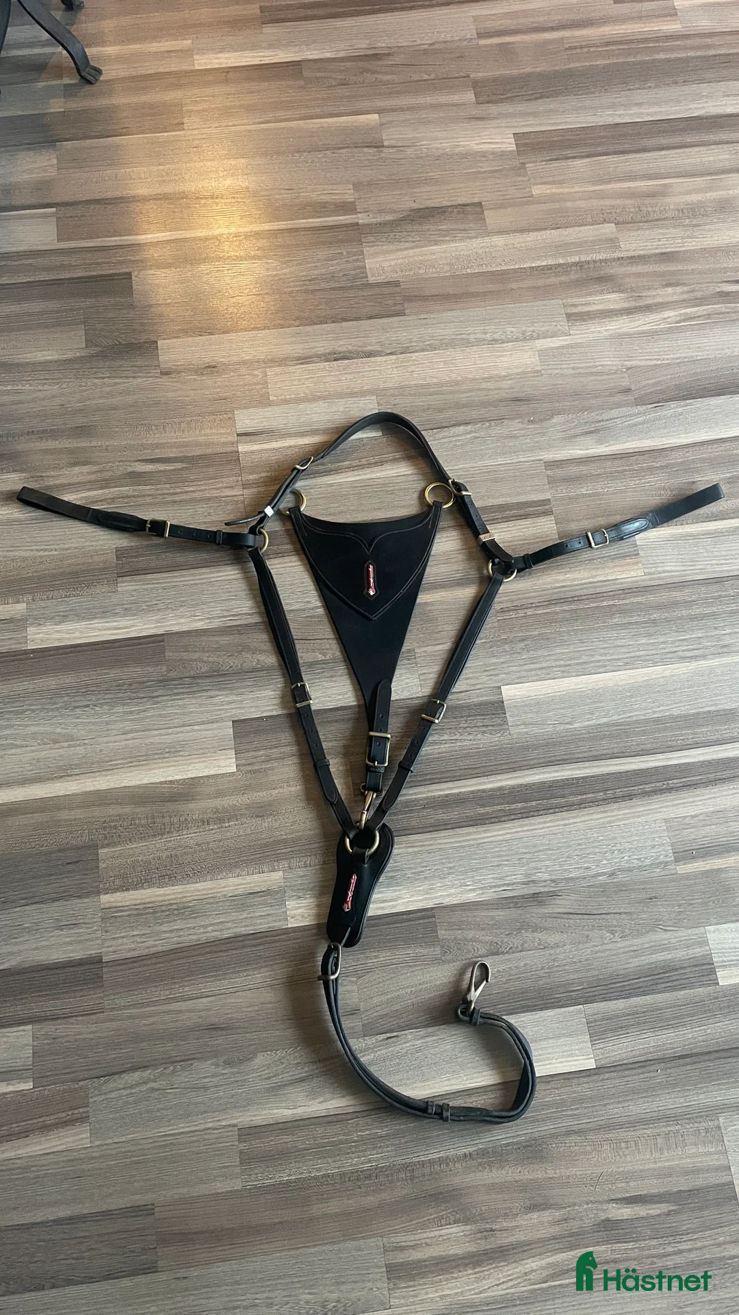 Sadeltillbehör hästutrustning till salu: Equipe martingall/förbygel  i Huddinge - Annons 1