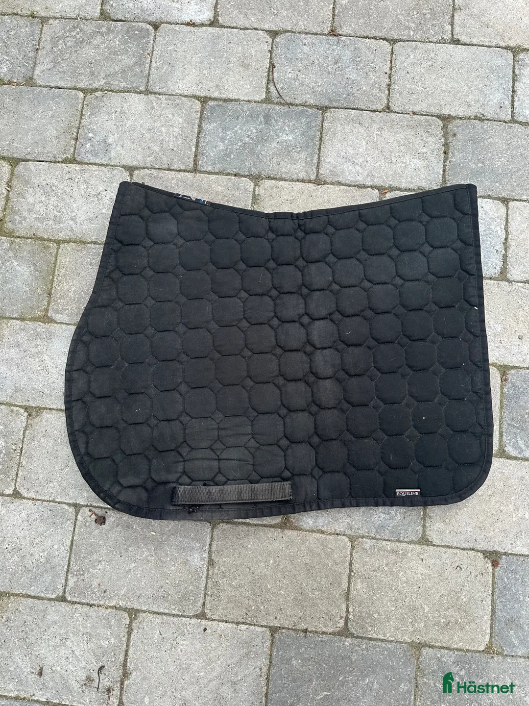 Schabrak & Vojlockar hästutrustning till salu: Equilineschabrak  - Annons 2