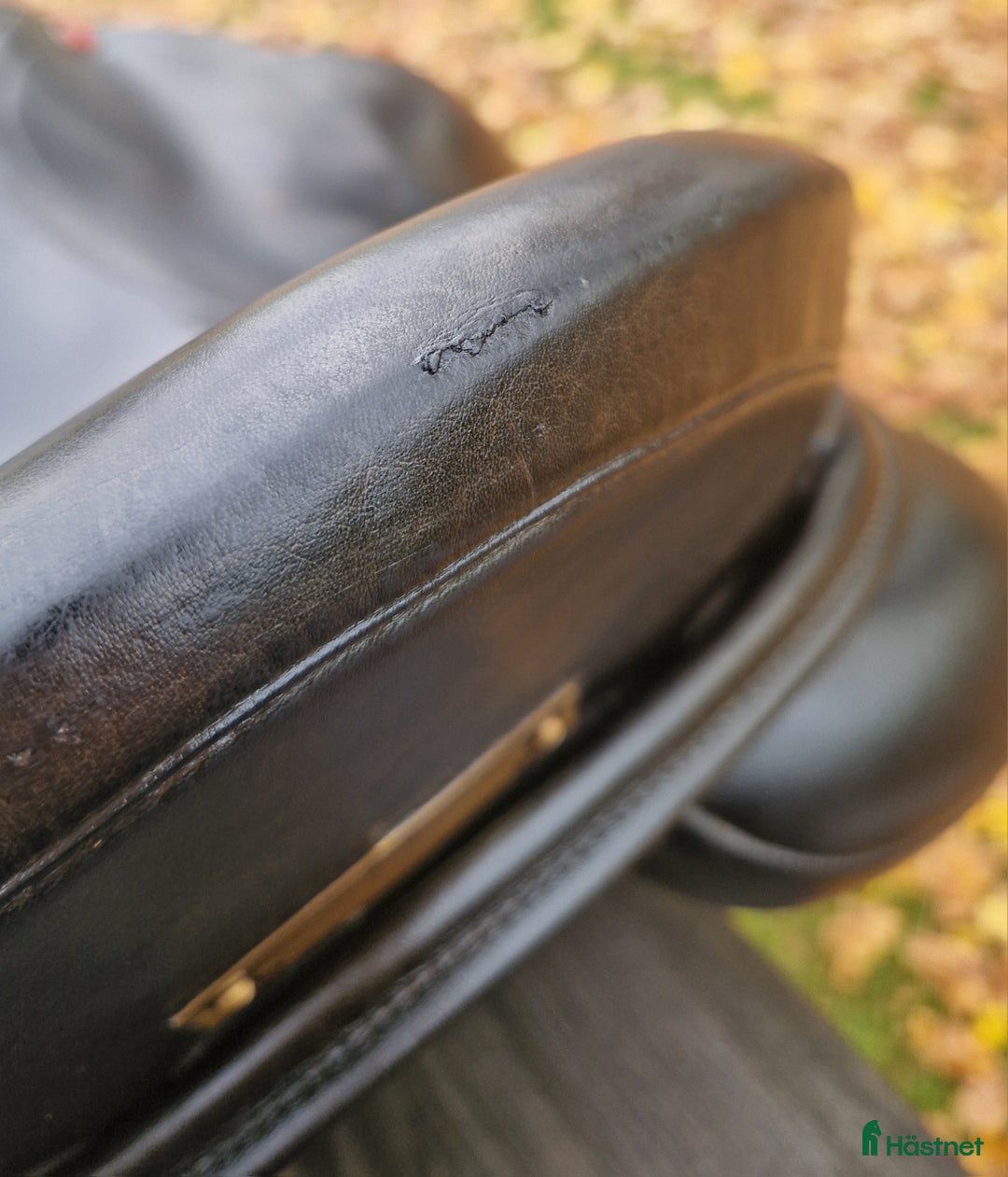 Sadlar hästutrustning till salu: Albion SLK2 bortslumpas i Trollhättan - Annons 5