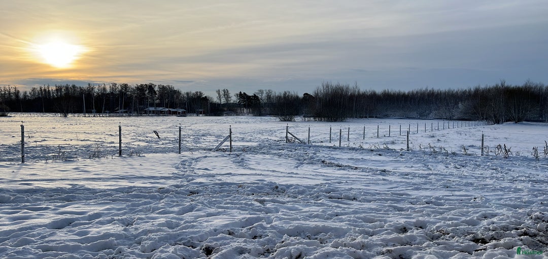 Galleribild {{count}}