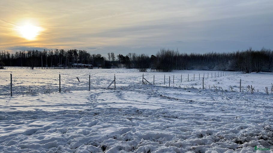 Galleribild {{count}}