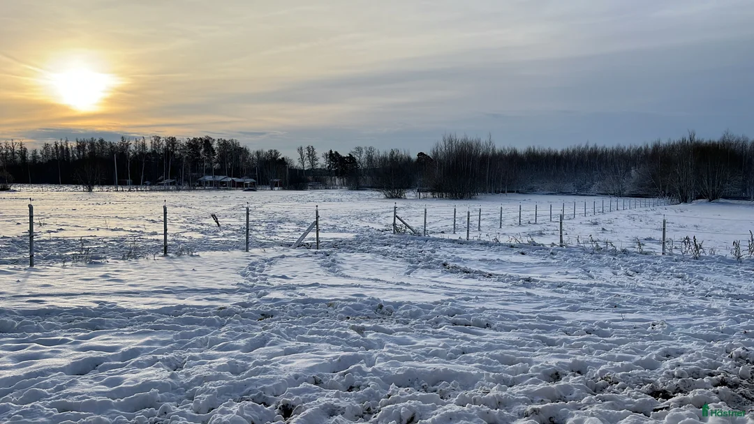 Galleribild {{count}}