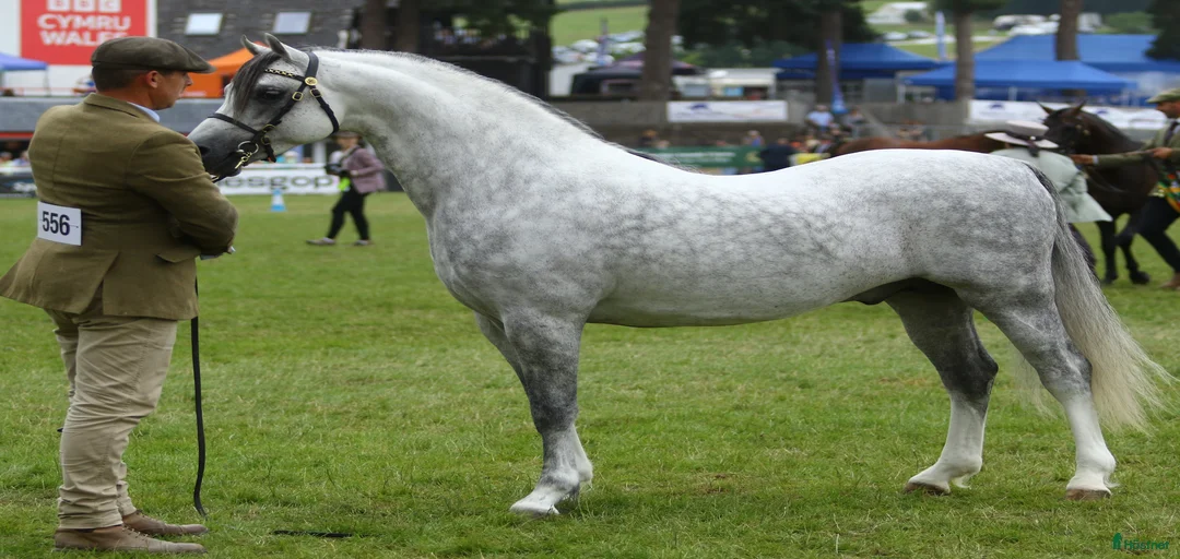 Galleribild {{count}}